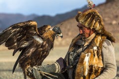 Berkutchi Eagle Hunter with golden eagle during hare hunting, in desert mountains of Western Mongolia. royalty free stock image Berkutchi Eagle Hunter with golden eagle during hare hunting, in desert mountains of Western Mongolia. royalty free stock image
