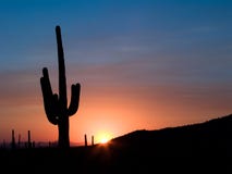 Saguaro Sunset Stock Photos Saguaro Sunset Stock Photos