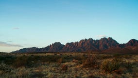 Saguaros przy zmierzchem przed przesąd górami Sonoran pustynia blisko Phoenix fotografia stock Saguaros przy zmierzchem przed przesąd górami Sonoran pustynia blisko Phoenix fotografia stock