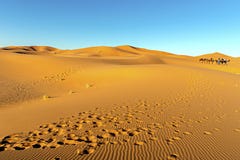 Sahara Desert with blue sky in Morocco, Africa royalty free stock images Sahara Desert with blue sky in Morocco, Africa royalty free stock images