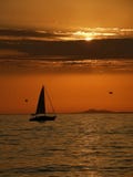 Sailboat And Gull At Sunset Royalty Free Stock Image
