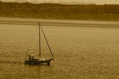 sailing imagens de stock royalty free sailing imagens de stock royalty free