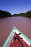 Sailing in the Amazon river