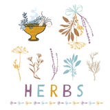 Sakral torkad Herb Bunches Vector Illustration Icon uppsättning royaltyfri illustrationer Sakral torkad Herb Bunches Vector Illustration Icon uppsättning royaltyfri illustrationer