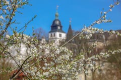 Sakura contre le contexte du château de Wolfsbourg l'allemagne photo stock Sakura contre le contexte du château de Wolfsbourg l'allemagne photo stock