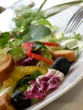 Salad Salad