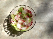 Salad made from cucumbers and radishes royalty free stock photography Salad made from cucumbers and radishes royalty free stock photography