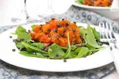 Salad With Arugula, Black Lentils And Vegetable Stew Royalty Free Stock Photos