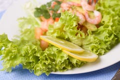 Salada com camarões e abacate imagens de stock royalty free Salada com camarões e abacate imagens de stock royalty free