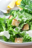 Salada de Caesar foto de stock