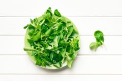 Salada de milho, a erva-benta imagem de stock royalty free Salada de milho, a erva-benta imagem de stock royalty free