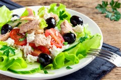 Salada do atum fotos de stock Salada do atum fotos de stock
