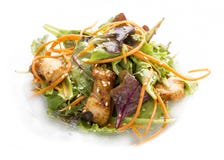 Salade avec le poulet Teriyaki et les l?gumes image stock Salade avec le poulet Teriyaki et les l?gumes image stock