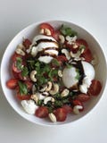 Salade de Burrata image libre de droits Salade de Burrata image libre de droits