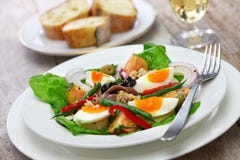 Salade française de nicoise image stock Salade française de nicoise image stock