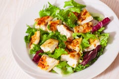 Salade végétale avec de la viande rôtie de poulet Photos libres de droits Salade végétale avec de la viande rôtie de poulet Photos libres de droits