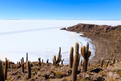 Salar de Uyuni-Ansicht von Isla Incahuasi stockbilder Salar de Uyuni-Ansicht von Isla Incahuasi stockbilder