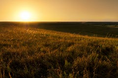 Salida del sol de oro en el parque nacional del coto de la pradera de Kansas Tallgrass foto de archivo Salida del sol de oro en el parque nacional del coto de la pradera de Kansas Tallgrass foto de archivo