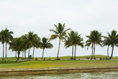 Salida del sol del campo de golf e hierba ajardinada Cabo Coral Florida, U fotos de archivo libres de regalías Salida del sol del campo de golf e hierba ajardinada Cabo Coral Florida, U fotos de archivo libres de regalías