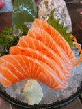 salmon stock image salmon stock image