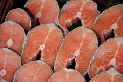 Salmon рыбы стоковые фото Salmon рыбы стоковые фото