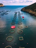 Salmon рыбоводческое хозяйство с плавая клетками вид с воздуха стоковые изображения Salmon рыбоводческое хозяйство с плавая клетками вид с воздуха стоковые изображения