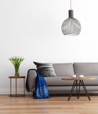 Salone moderno contemporaneo con il sofà grigio