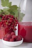 Salsa de la baya hecha de las pasas rojas y de las frambuesas Fotografía de archivo Salsa de la baya hecha de las pasas rojas y de las frambuesas Fotografía de archivo