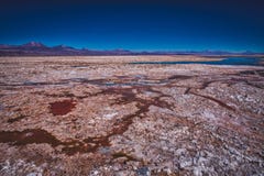 Salt deposits from water evaporation in wetlands royalty free stock photography Salt deposits from water evaporation in wetlands royalty free stock photography