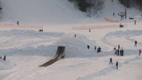 Salto di gatto delle nevi Salto di gatto delle nevi