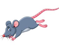 Salto engraçado do rato dos desenhos animados ilustração do vetor Salto engraçado do rato dos desenhos animados ilustração do vetor