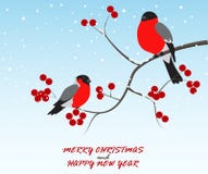 Saludo de la Navidad con los pájaros que se sientan en rama stock de ilustración Saludo de la Navidad con los pájaros que se sientan en rama stock de ilustración