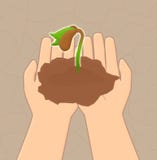 Salvar plantas ilustração royalty free Salvar plantas ilustração royalty free