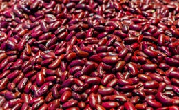 Samen von roten Bohnen Proteinpflanzliches lebensmittel Eine gesunde Diät stockfoto Samen von roten Bohnen Proteinpflanzliches lebensmittel Eine gesunde Diät stockfoto