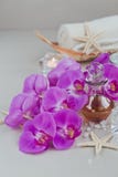 Samenstelling van kuuroordbehandeling met parfum of aromatische oliefles stock foto Samenstelling van kuuroordbehandeling met parfum of aromatische oliefles stock foto