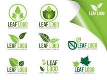 Sammlung Ökologie Logo Symbols, organisches grünes Blatt-Vektor-Design lizenzfreie abbildung Sammlung Ökologie Logo Symbols, organisches grünes Blatt-Vektor-Design lizenzfreie abbildung