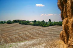 Crete senesi royalty free stock photos Crete senesi royalty free stock photos