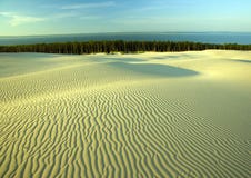 Sand Dunes Stock Image