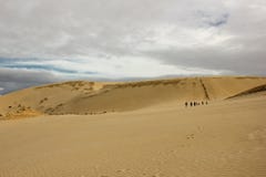 Tourists walking in a line in sand dunes of cape Reinga stock images Tourists walking in a line in sand dunes of cape Reinga stock images