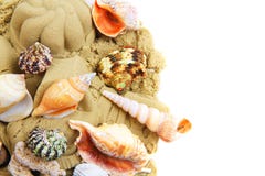 sand objects with sea shells isolated Stock Photo sand objects with sea shells isolated Stock Photo