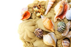 sand objects with sea shells isolated Royalty Free Stock Image sand objects with sea shells isolated Royalty Free Stock Image