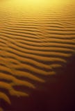 Sand Ripple and Shadow Patterns