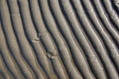 Sand texture. Background with beige fine sand. Sharp lines of waves on sand. Sand surface on the beach, view from above. Royalty Free Stock Images Sand texture. Background with beige fine sand. Sharp lines of waves on sand. Sand surface on the beach, view from above. Royalty Free Stock Images