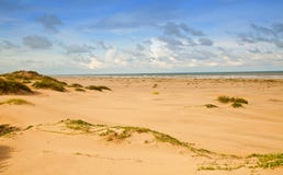 Sandunes södra Padre ö fotografering för bildbyråer Sandunes södra Padre ö fotografering för bildbyråer