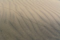 Sandwaves of Sam sand dunes stock photos Sandwaves of Sam sand dunes stock photos