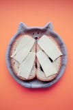 Sandwich bread and butter in a plate in the shape of a cat`s muzzle on coral background stock images Sandwich bread and butter in a plate in the shape of a cat`s muzzle on coral background stock images