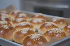 Sandwichbroodje met sesamzaden stock afbeelding Sandwichbroodje met sesamzaden stock afbeelding