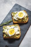 Sandwichs à oeufs et à avocat avec le fromage fondu pour le petit déjeuner sain images libres de droits Sandwichs à oeufs et à avocat avec le fromage fondu pour le petit déjeuner sain images libres de droits