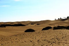 Sandy-D?nen in ber?hmtem nat?rlichem Maspalomas-Strand Gran Canaria spanien stockbild Sandy-D?nen in ber?hmtem nat?rlichem Maspalomas-Strand Gran Canaria spanien stockbild