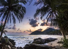 Ocean seashore with palm at sunrise in Phangan island Stock Photo Ocean seashore with palm at sunrise in Phangan island Stock Photo